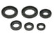 Set garnituri pentru motor WINDEROSA 822391 