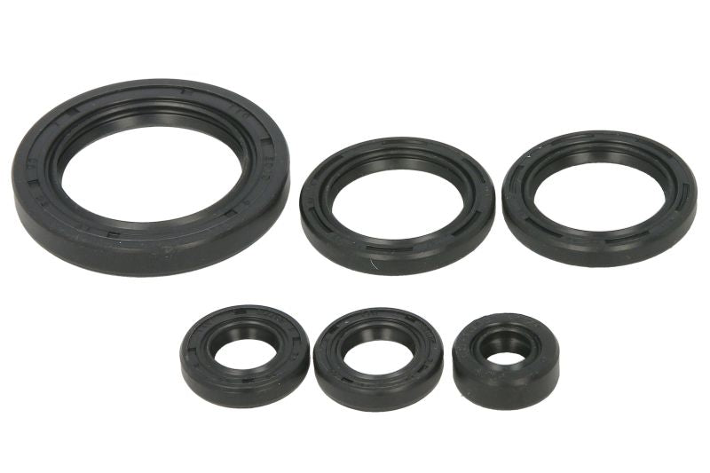 Set garnituri pentru motor WINDEROSA 822978 
