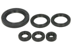 Set garnituri pentru motor WINDEROSA 822978 