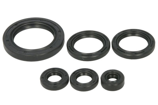 Set garnituri pentru motor WINDEROSA 822978 