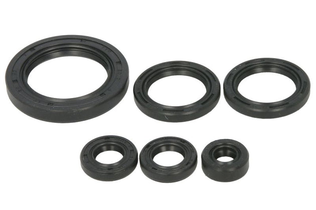 Set garnituri pentru motor WINDEROSA 822978 