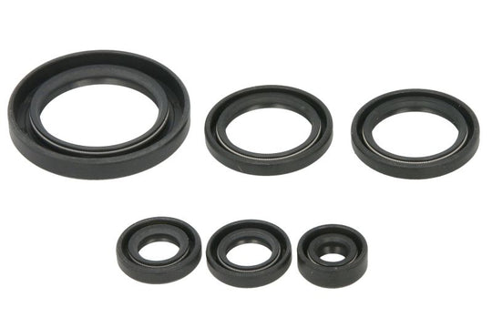 Set garnituri pentru motor WINDEROSA 822978 