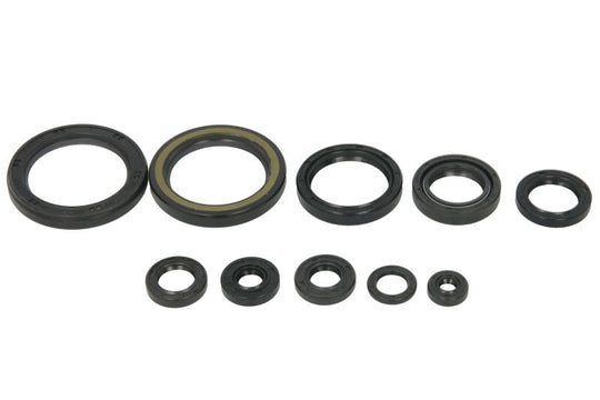 Set garnituri pentru motor WINDEROSA 822989 