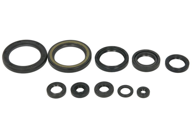 Set garnituri pentru motor WINDEROSA 822989 