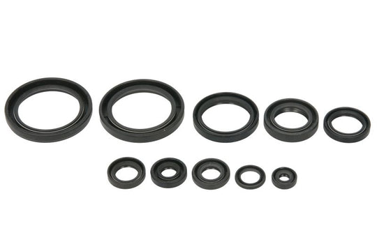 Set garnituri pentru motor WINDEROSA 822989 