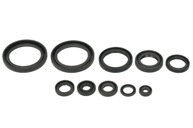 Set garnituri pentru motor WINDEROSA 822989 