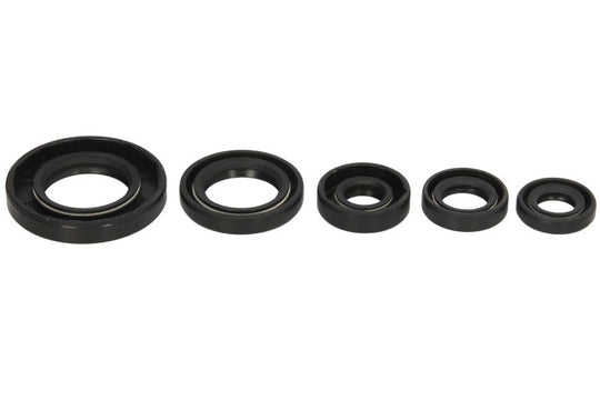 Set garnituri pentru motor WINDEROSA 822990 