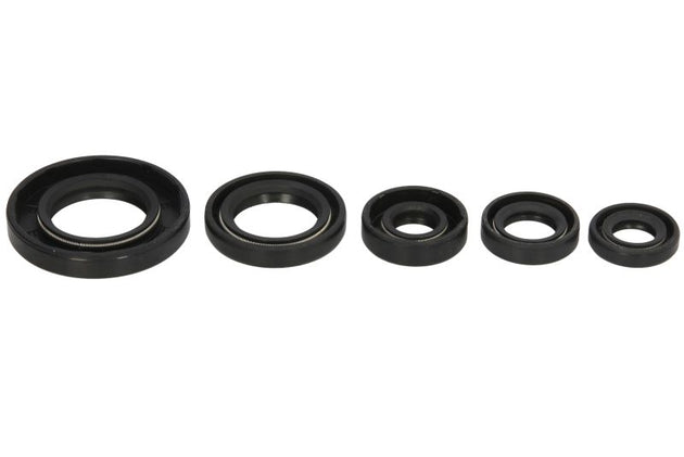 Set garnituri pentru motor WINDEROSA 822990 