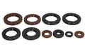 Set garnituri pentru motor WINDEROSA 822991 