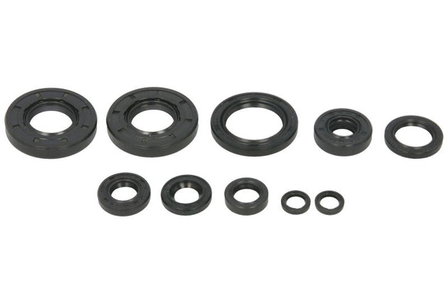 Set garnituri pentru motor WINDEROSA 822993 