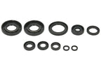 Set garnituri pentru motor WINDEROSA 822993 