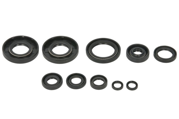 Set garnituri pentru motor WINDEROSA 822993 