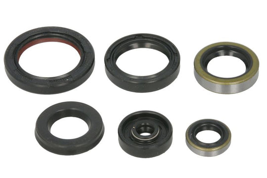 Set garnituri pentru motor WINDEROSA 822995 