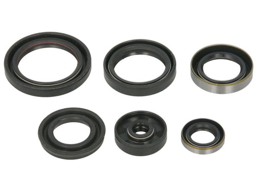 Set garnituri pentru motor WINDEROSA 822995 