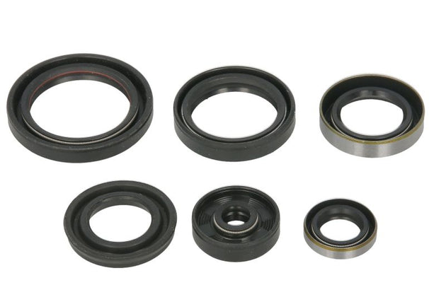 Set garnituri pentru motor WINDEROSA 822995 