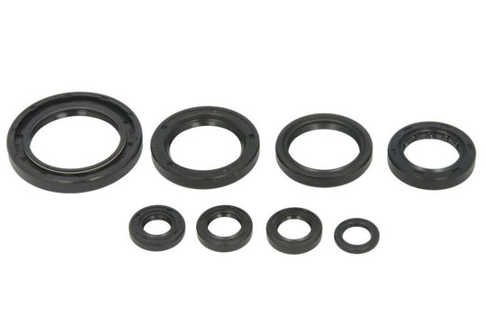 Set garnituri pentru motor WINDEROSA 822996 