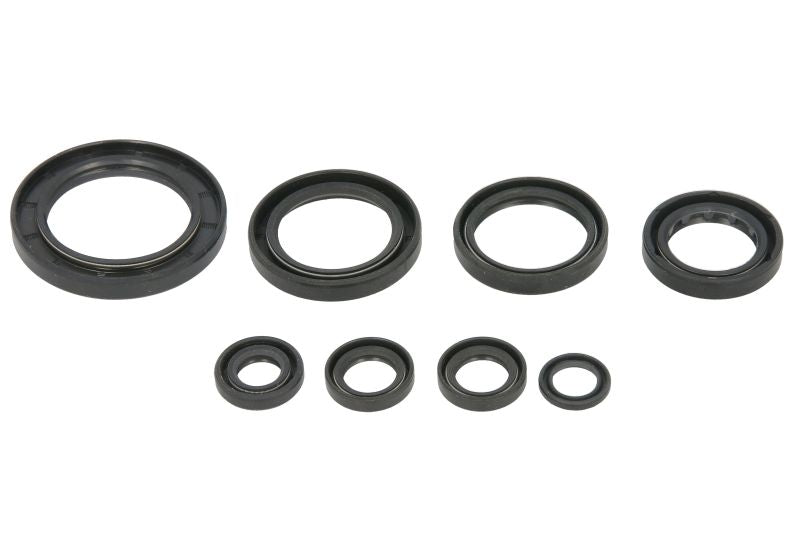 Set garnituri pentru motor WINDEROSA 822996 