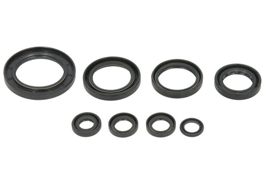 Set garnituri pentru motor WINDEROSA 822996 