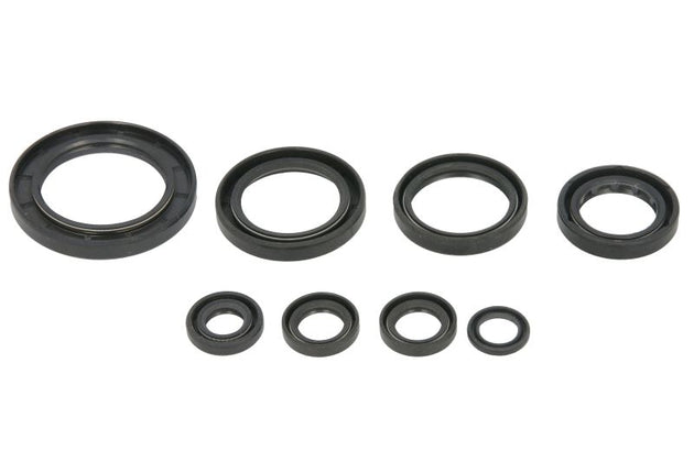 Set garnituri pentru motor WINDEROSA 822996 
