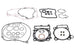 Set garnituri pentru motor WINDEROSA 8110027 