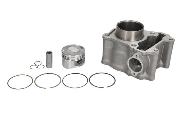 Cilindru motor RMS 10 008 0720 RMS