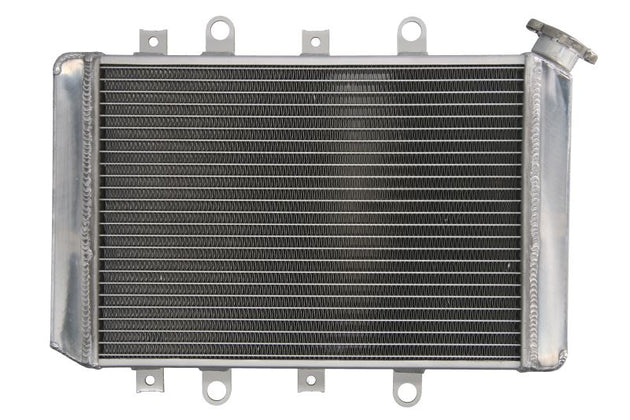 Radiator, racire motor 4 RIDE TRS-R-219 