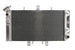 Radiator, racire motor 4 RIDE TRS-R-103 