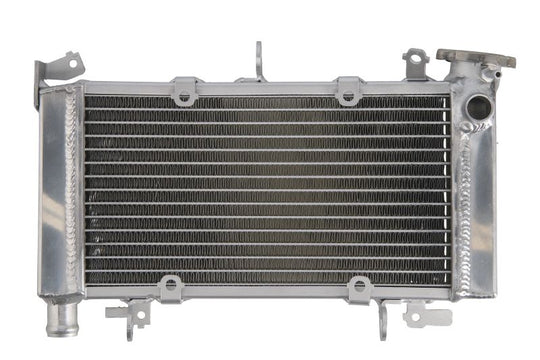 Radiator, racire motor 4 RIDE TRS-R-648