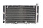 Radiator, racire motor 4 RIDE TRS-R-517 