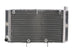 Radiator, racire motor 4 RIDE TRS-R-517 