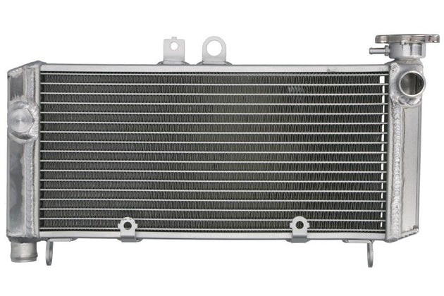 Radiator, racire motor 4 RIDE TRS-R-650