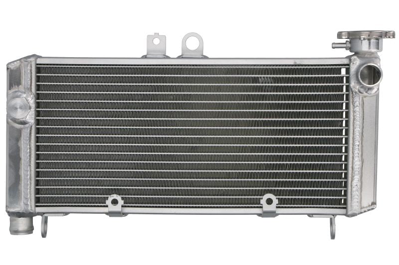 Radiator, racire motor 4 RIDE TRS-R-650 