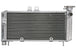 Radiator, racire motor 4 RIDE TRS-R-650 