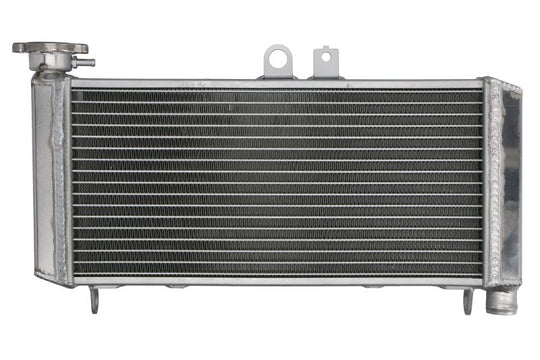 Radiator, racire motor 4 RIDE TRS-R-650