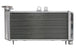 Radiator, racire motor 4 RIDE TRS-R-650 