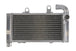 Radiator, racire motor 4 RIDE TRS-R-627 