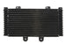 Radiator, racire motor 4 RIDE TRS-R-555 