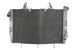 Radiator, racire motor 4 RIDE TRS-R-565 
