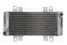 Radiator, racire motor 4 RIDE TRS-R-667 