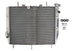Radiator, racire motor 4 RIDE TRS-R-612 