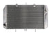 Radiator, racire motor 4 RIDE TRS-R-591 