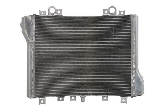 Radiator, racire motor 4 RIDE TRS-R-593 
