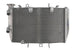 Radiator, racire motor 4 RIDE TRS-R-616 