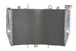 Radiator, racire motor 4 RIDE TRS-R-616 
