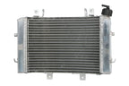 Radiator, racire motor 4 RIDE TRS-R-666 