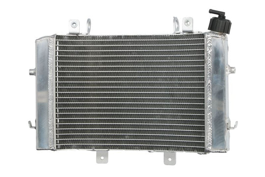 Radiator, racire motor 4 RIDE TRS-R-666 