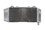 Radiator, racire motor 4 RIDE TRS-R-011R 