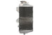 Radiator, racire motor 4 RIDE TRS-R-016R 