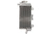 Radiator, racire motor 4 RIDE TRS-R-017R 