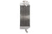 Radiator, racire motor 4 RIDE TRS-R-018L(C) 
